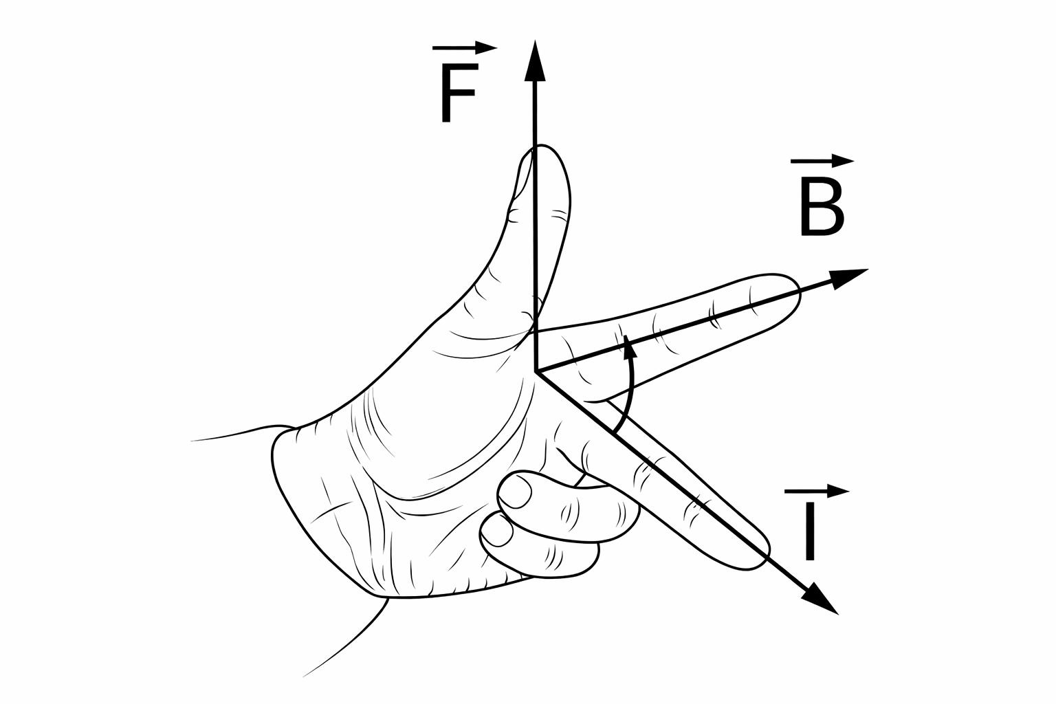 Regla mano izquierda